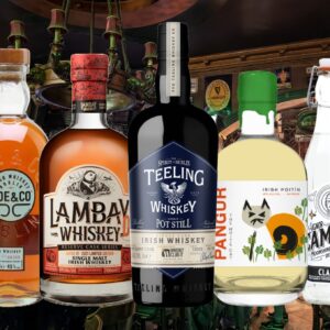 Degustazione Whiskey e Moonshine