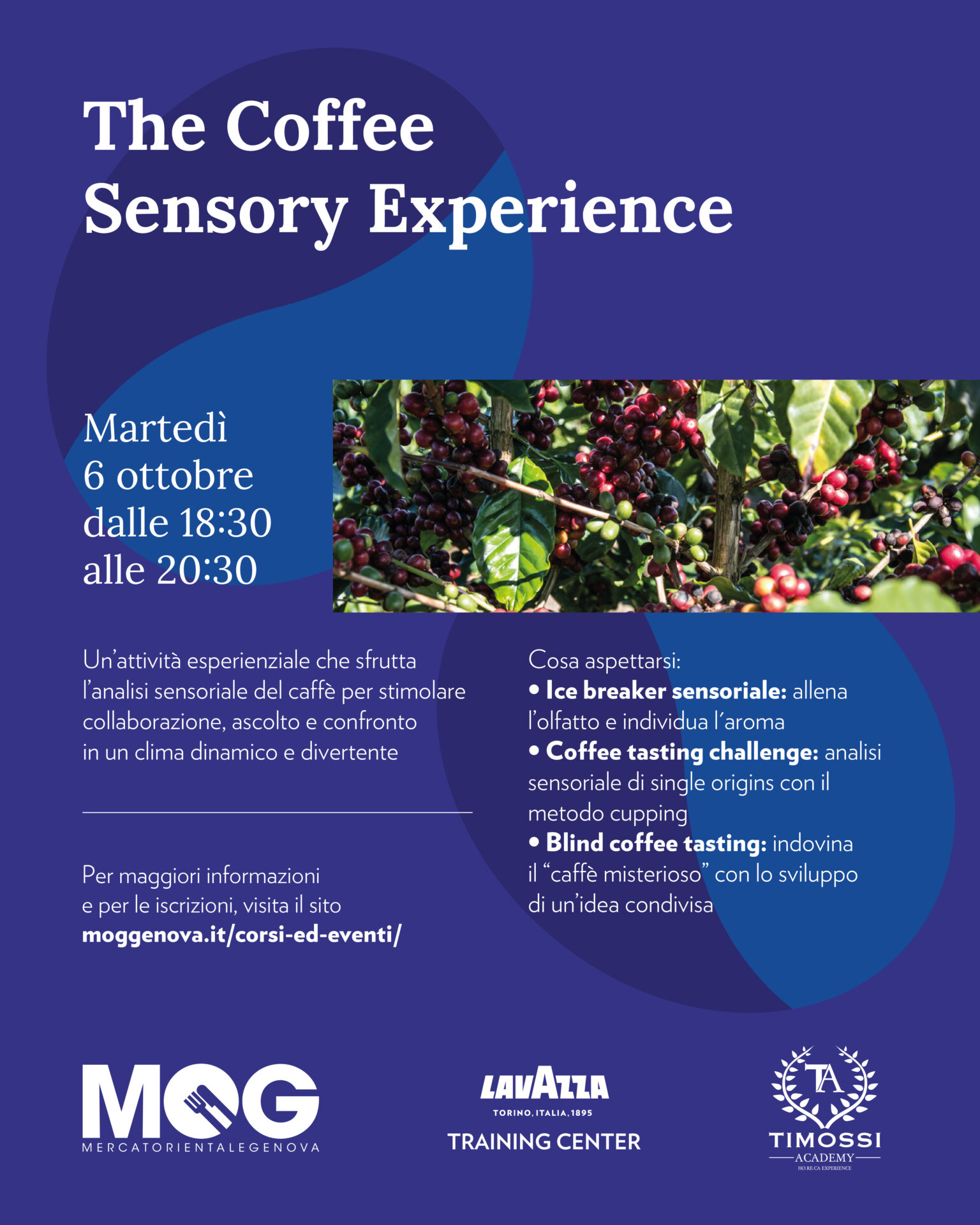 The Coffee Sensory Experience - Lavazza 1 locandina